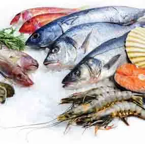 Fresh Sea-Foods
